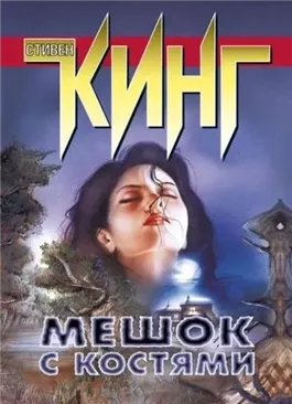 Мешок с костями