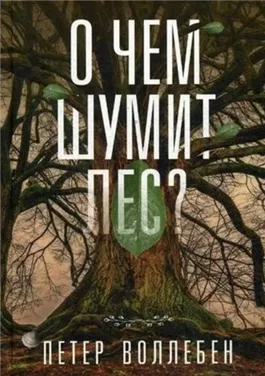 О чём шумит лес?