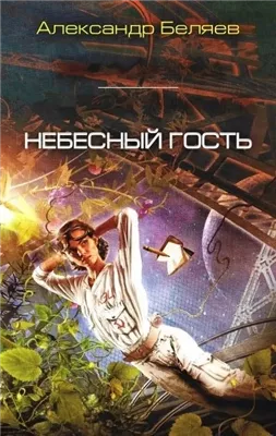 Небесный гость