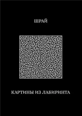 Картины из лабиринта