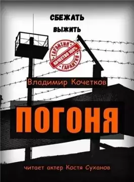 Погоня