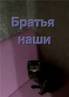 Братья наши