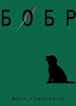 Бобр